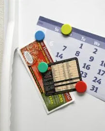 Master Magnetics Assorted Rubber Disc Magnet - 1" X 0.25"