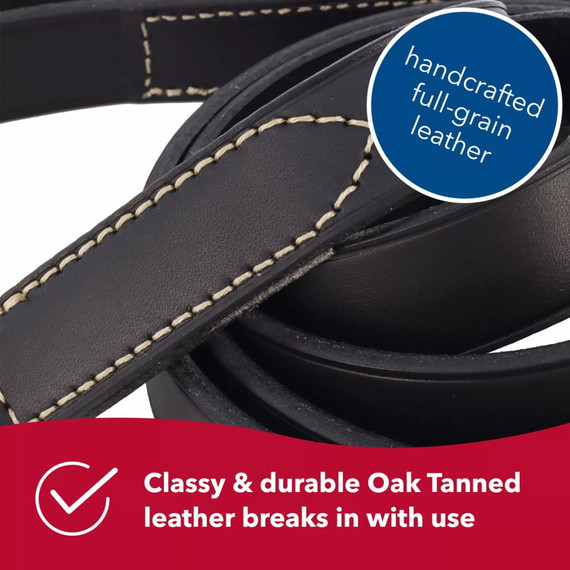 Circle T Oak Tanned Leather Dog Leash - Black - 3/4" X 6'