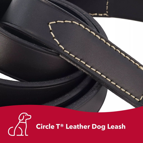 Coastal Pet Circle T Oak Tanned Leather Dog Leash - Black