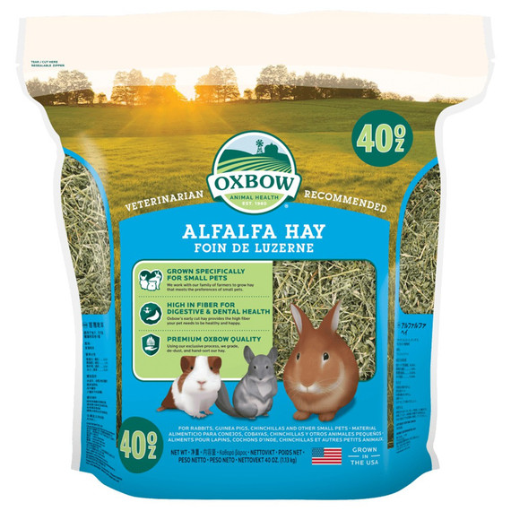 Oxbow Animal Health Alfalfa Hay