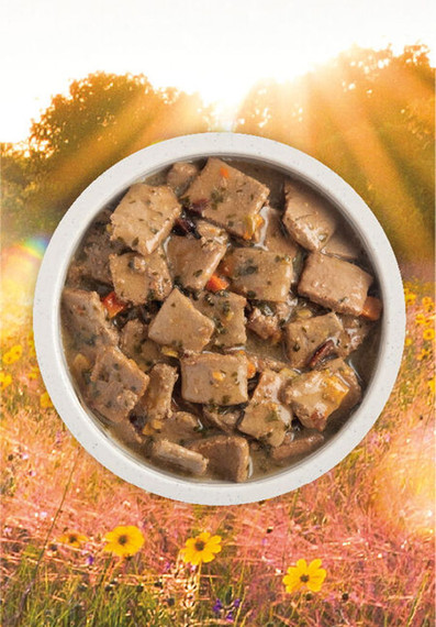 Acana Premium Chunks Duck Recipe In Bone Broth Wet Dog Food - 12.8 Oz