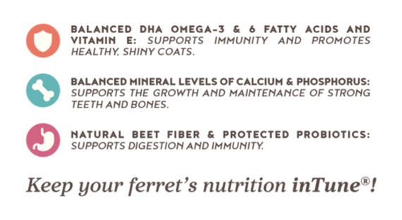 Higgins Intune Complete and Balanced Diet for Ferrets - 4 lb