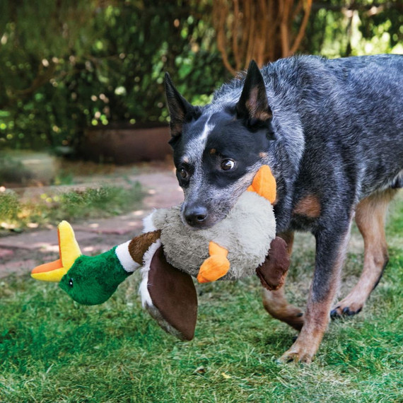 Kong Shakers Honkers Duck Toy For Dog - Large