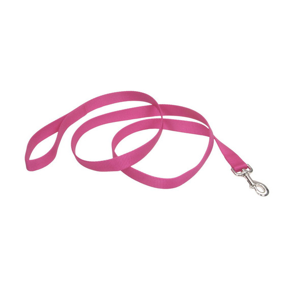 Coastal Pet Neon Pink Single-ply Nylon Leash - 1" X 4'