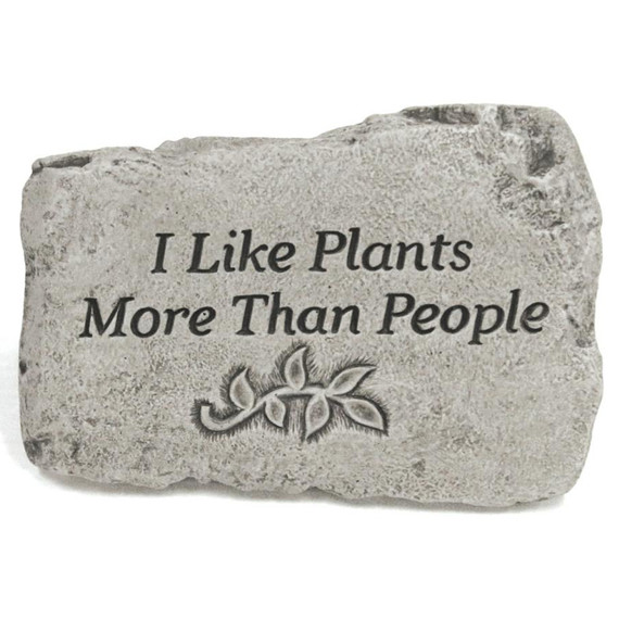 Massarelli's I Like Plants More Than People Old Stone - 10"