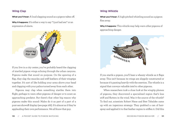A Pocket Guide to Pigeon Watching: Getting to Know the World's Most Misunderstood Bird