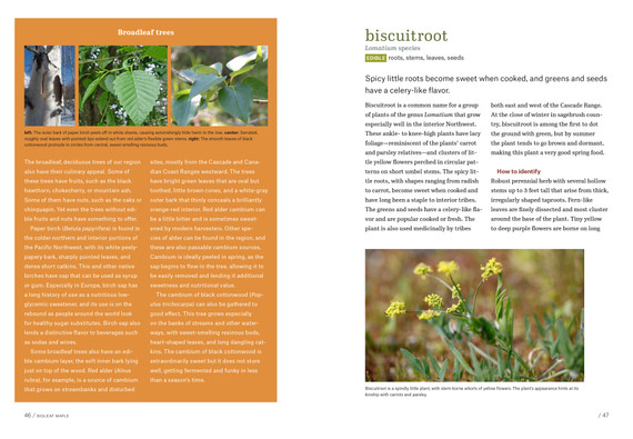 Workman Pacific Northwest Foraging Book