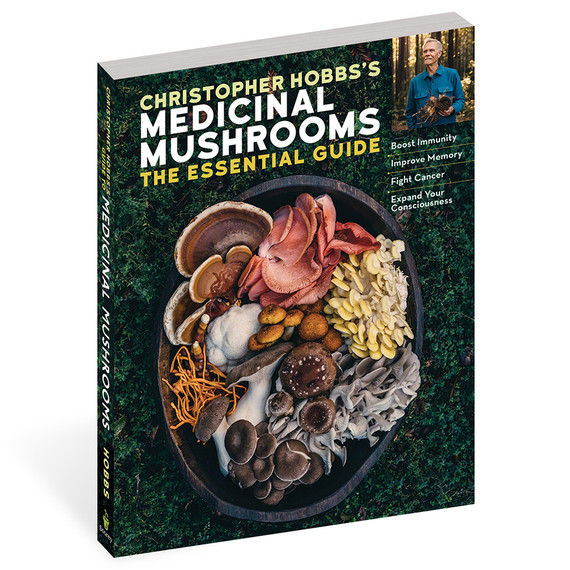 Workman Christopher Hobbs's Medicinal Mushrooms The Essential Guide