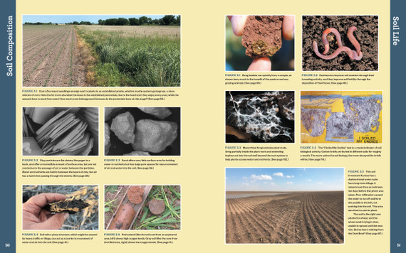 Workman The Complete Guide to Restoring Your Soil