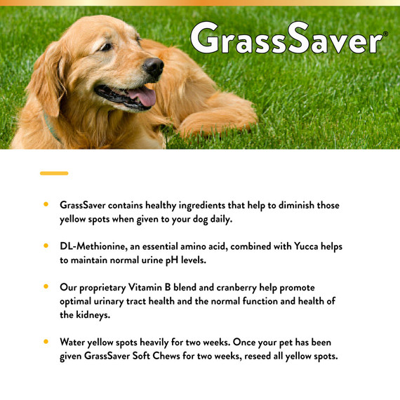 Naturvet Grasssaver Soft Chews for Dogs - 120 ct