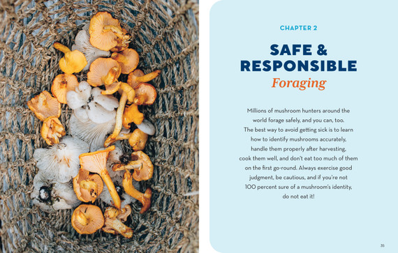 Workman How to Forage for Mushrooms without Dying Book