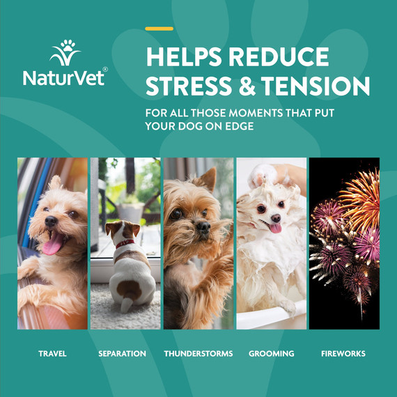 Naturvet Quiet Moments Dog Calming Aid Soft Chews - 65 ct