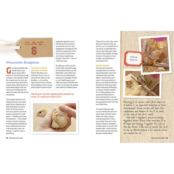 Workman An Absolute Beginner's Guide to Keeping Backyard Chickens