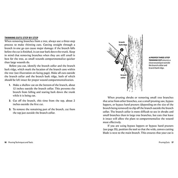 Workman How to Prune Trees & Shrubs Book