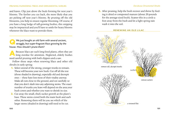 Workman The Pruning Answer Book