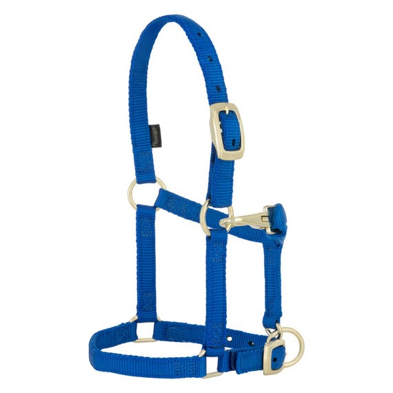 Weaver Leather Miniature Adjustable Horse Snap Halter - 5/8" - Blue