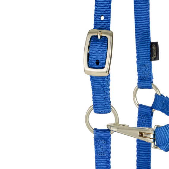Weaver Leather Miniature Adjustable Horse Snap Halter - 5/8" - Blue