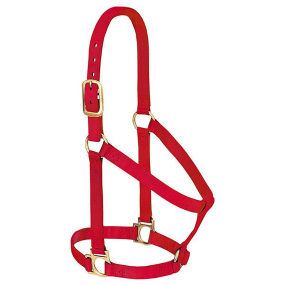 Weaver Leather Basic Non-Adjustable Halter - 1" - Red