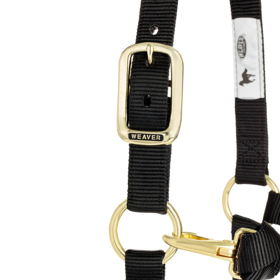 Weaver Leather Original Adjustable Chin and Throat Snap Halter - 1"