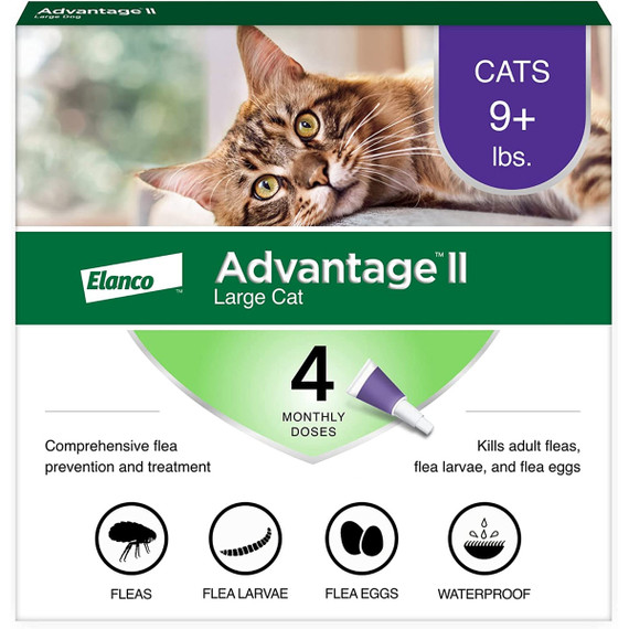 Advantage ii for cats over 9 lbs Clearance