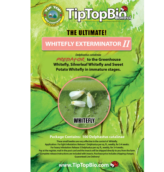 TipTopBio Control Whitefly Exterminator II Certificate - 100 ct