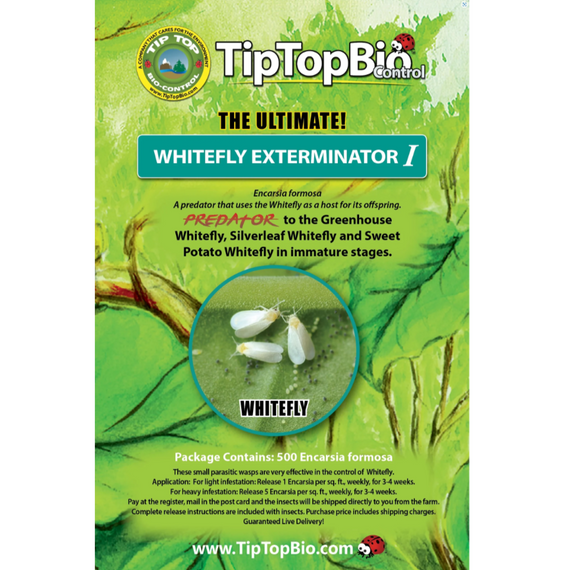 TipTopBio Control Whitefly Exterminator I Certificate - 500 ct