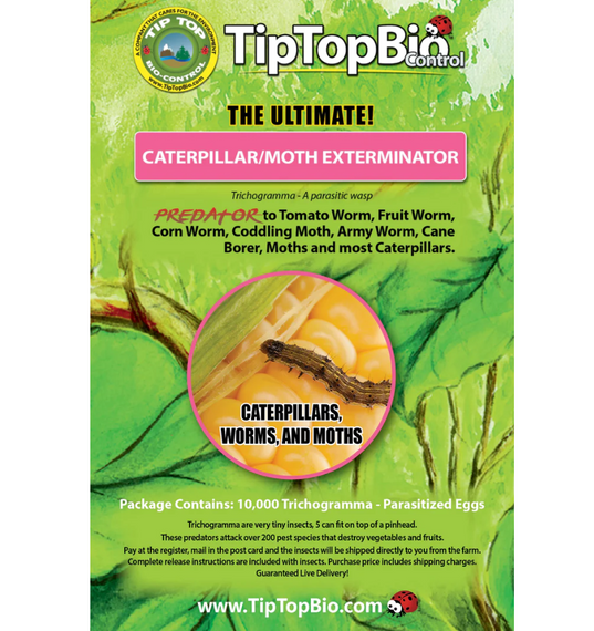 TipTopBio Control Caterpillar and Moth Exterminator Certificate - 10,000 ct