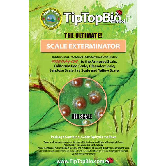 TipTopBio Control Scale Exterminator Certificate - 5,000 ct