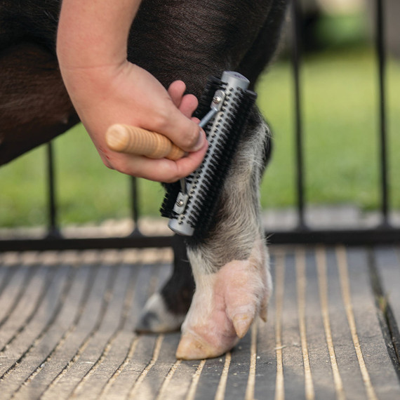 Weaver Livestock Wide Range Brush - Mini