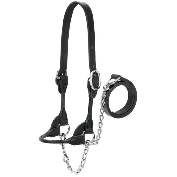 Rounded Show Halter Black Medium