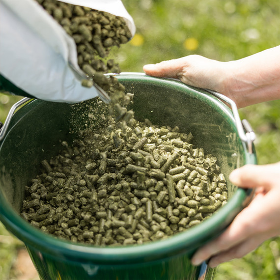Standlee Certified Timothy Grass Pellets - 40lb