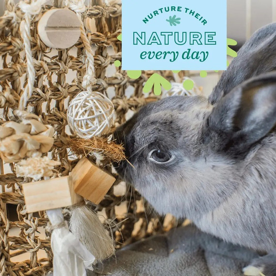 Oxbow Enriched Life Play Wall Small Animal Toys - Small