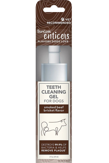 Tropiclean Enticers Smoked Beef Brisket Teeth Cleaning Gel for Dogs - 2 oz