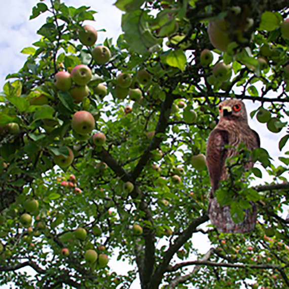 Bird B Gone Decoy Hawk Scare Birds