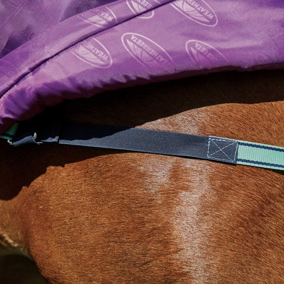 Weatherbeeta Comfitec Premier Freedom Pony Standard Neck Medium, Purple/Navy/Mint