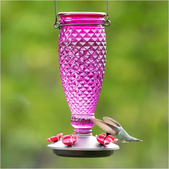 Perky-Pet Ready-to-use Hummingbird Nectar - Clear - 16 oz