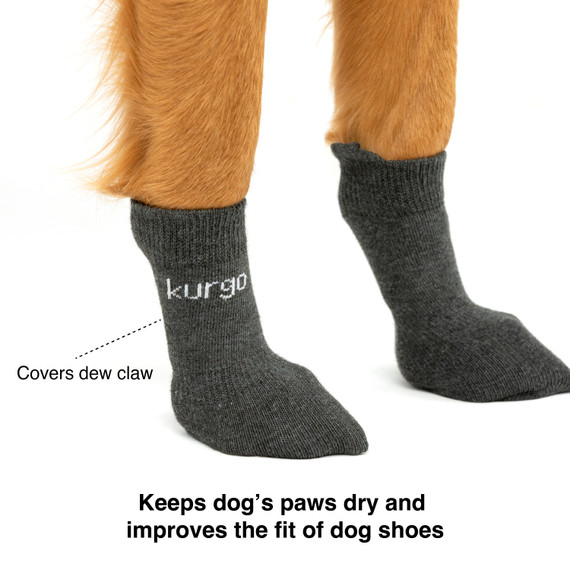 Kurgo Blaze Dog Socks