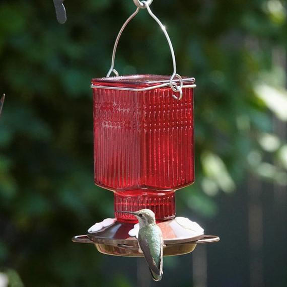 Natures Way Crimson Carnation Antique Glass Gravity Hummingbird Feeder - 22 oz - Red