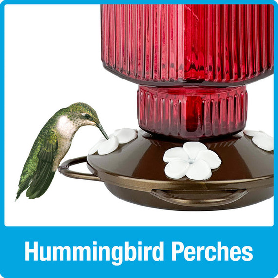 Natures Way Crimson Carnation Antique Glass Gravity Hummingbird Feeder - 22 oz - Red