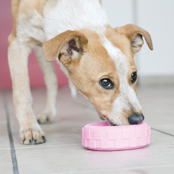 Kong Puppy Rubber Tire Dog Toy - Pink and Blue