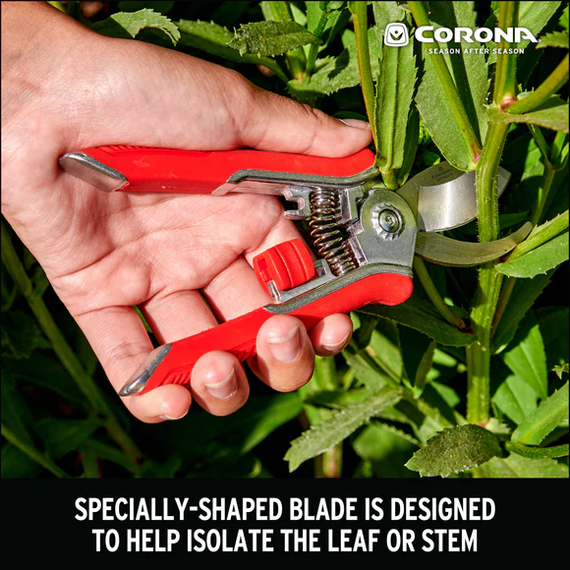 Corona Yard Essentials Houseplant Pruners - Assorted