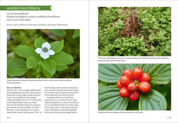 Workman Pacific Northwest Medicinal Plants Book