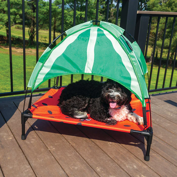 BigMouth Pets Watermelon Canopy Bed for Dog