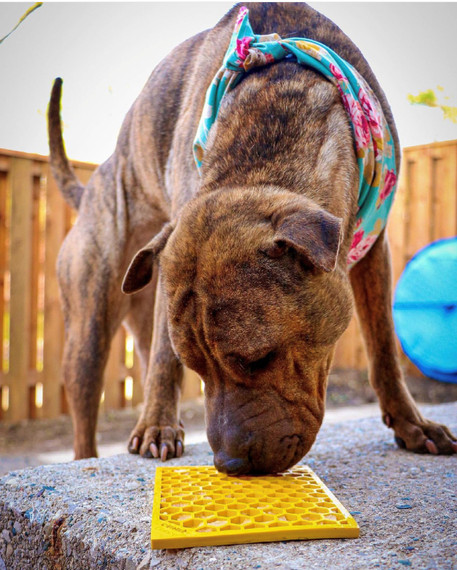 SodaPup Honeycomb Design Emat Enrichment Lick Mat - Large - Yellow