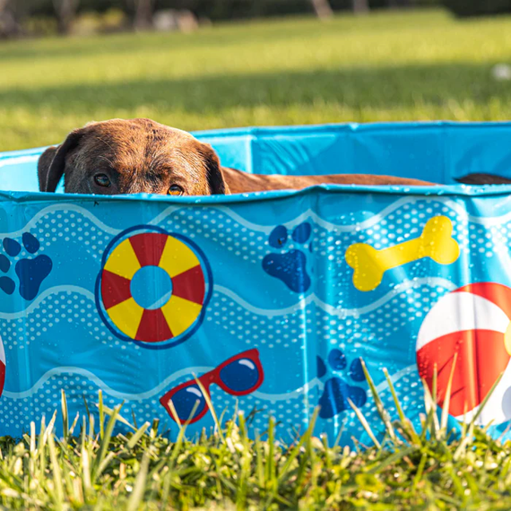 BigMouth Patterns and Splashes Pool for Dog - 47" X 47" X 11"