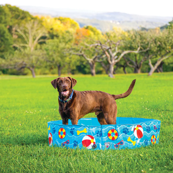 BigMouth Patterns and Splashes Pool for Dog - 47" X 47" X 11"