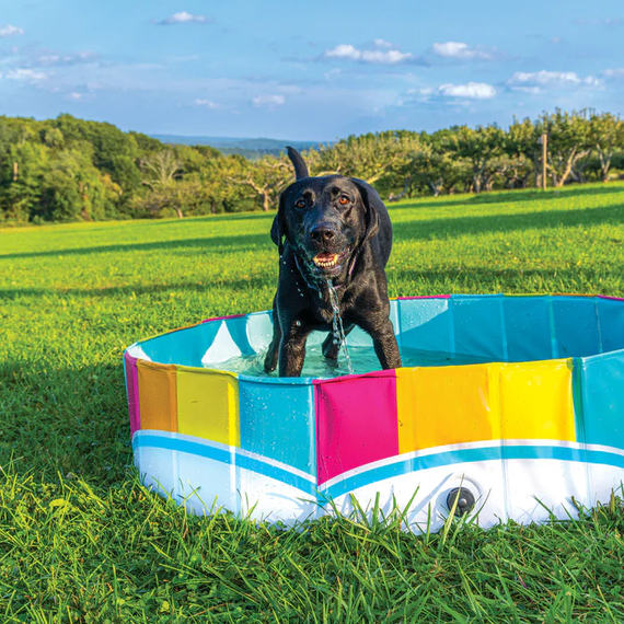 BigMouth the Colors of the Rainbow Splash Pool for Dog - 47" X 47" X 11"