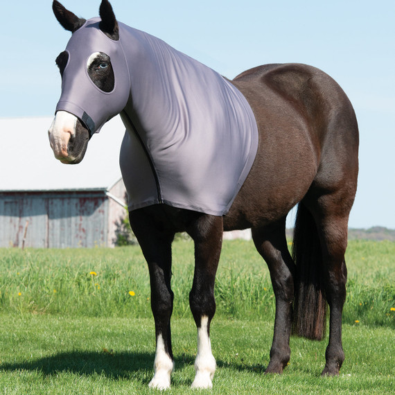 Weaver Equine Synergy Powered by Coolcore Equine Lycra Hood - Graphite