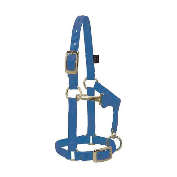 Weaver Miniature Horse Nylon Halter - Blue - 5/8"