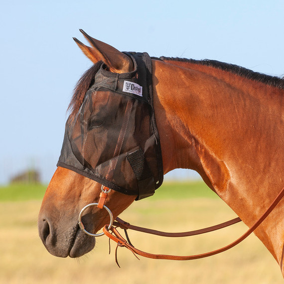 Cashel Quiet Ride Horse Fly Mask - Black